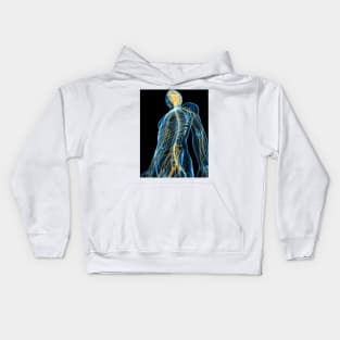 Human nervous system, artwork (F004/1384) Kids Hoodie